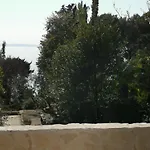 Mira