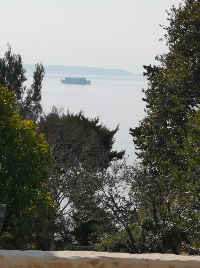 Apartament Mira